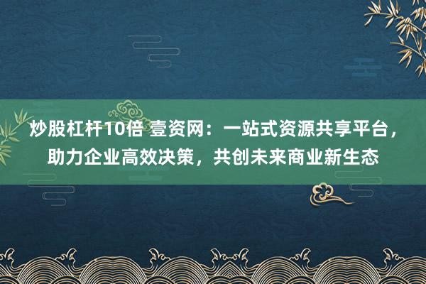 炒股杠杆10倍 壹资网：一站式资源共享平台，助力企业高效决策，共创未来商业新生态