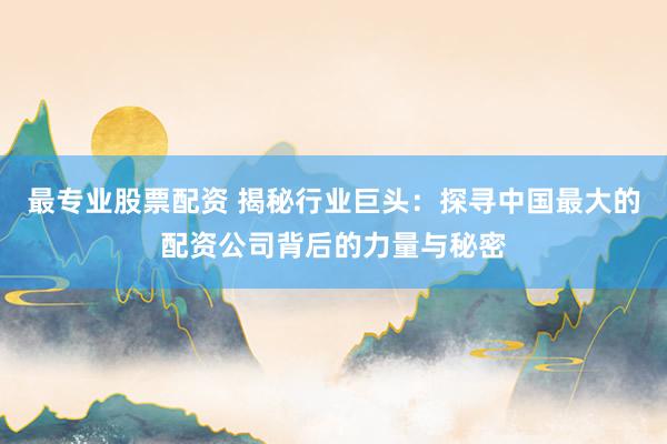 最专业股票配资 揭秘行业巨头：探寻中国最大的配资公司背后的力量与秘密
