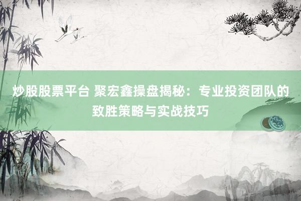 炒股股票平台 聚宏鑫操盘揭秘：专业投资团队的致胜策略与实战技巧