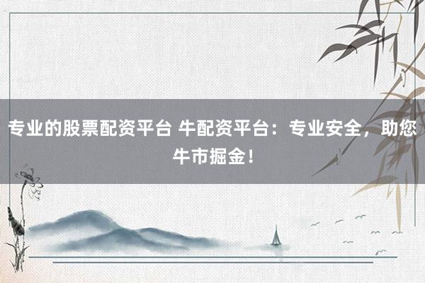 专业的股票配资平台 牛配资平台：专业安全，助您牛市掘金！