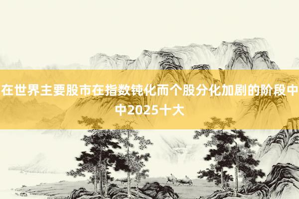 在世界主要股市在指数钝化而个股分化加剧的阶段中中2025十大