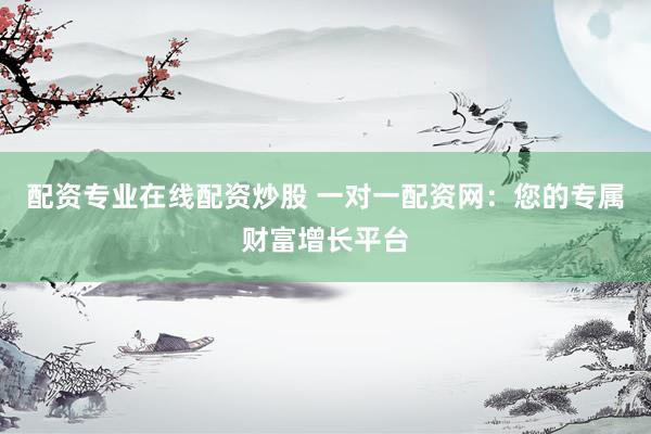 配资专业在线配资炒股 一对一配资网：您的专属财富增长平台