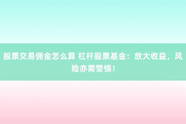 股票交易佣金怎么算 杠杆股票基金：放大收益，风险亦需警惕！